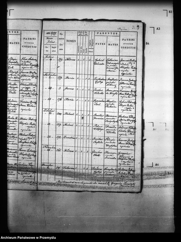 image.from.unit.number "[Kopie ksiąg metrykalnych parafii Majdan Sieniawski z filiami Adamówka, Krasne (dekanat Sieniawa)]"