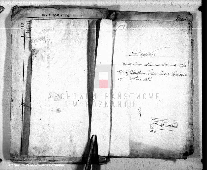 Obraz 1 z jednostki "Duplikat baptisatorum, copulatorum u. mortuorum"