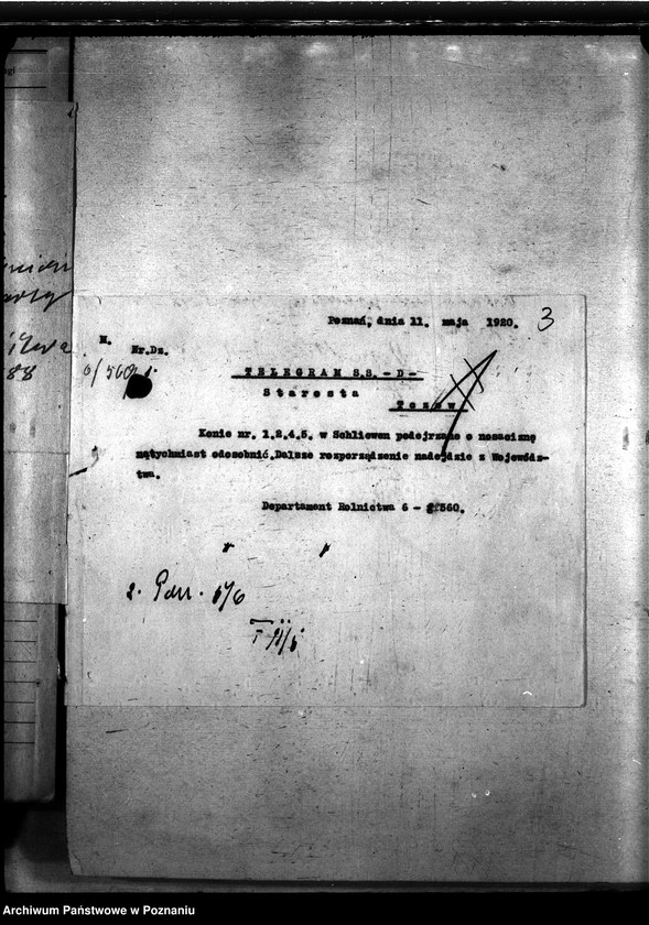 Obraz 7 z jednostki "Nosacizna - Tczew"