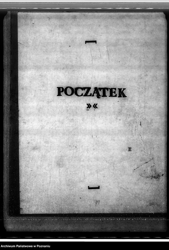 Obraz 3 z jednostki "Zalesienie nieużytków w powiecie gostyńskim"