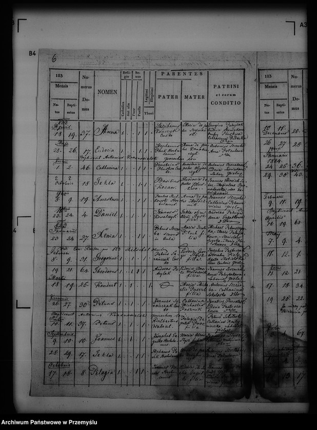 image.from.unit.number "[Kopie ksiąg metrykalnych parafii Pielnia z filiami Dudyńce, Pobiedno, Jędruszkowice, Markowice, Podgaj (dekanat Buków)]"