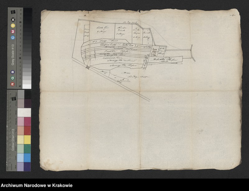 Obraz 3 z jednostki "[Grunty dominicalne na Świącu wydzielone dla poddanych Państwa Lubyczy Kameralnej na osiadłość i wybudowanie budynków gospodarskich]"