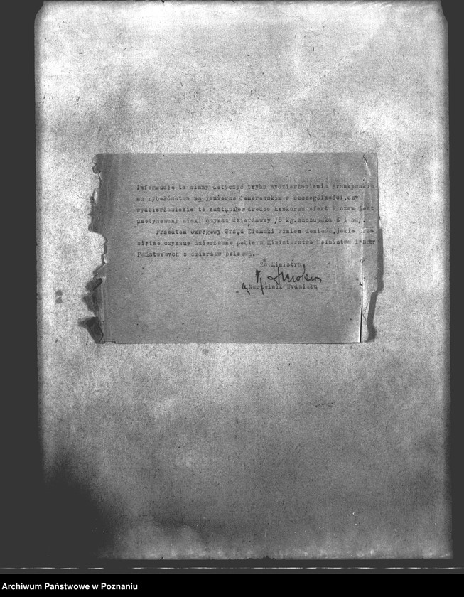 Obraz 14 z jednostki "Polowanie na jeziorze Bytyńskim Komorowo-Gorzewice"