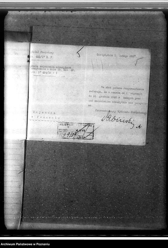 Obraz 9 z jednostki "Zalesienie nieużytków w powiecie gostyńskim"