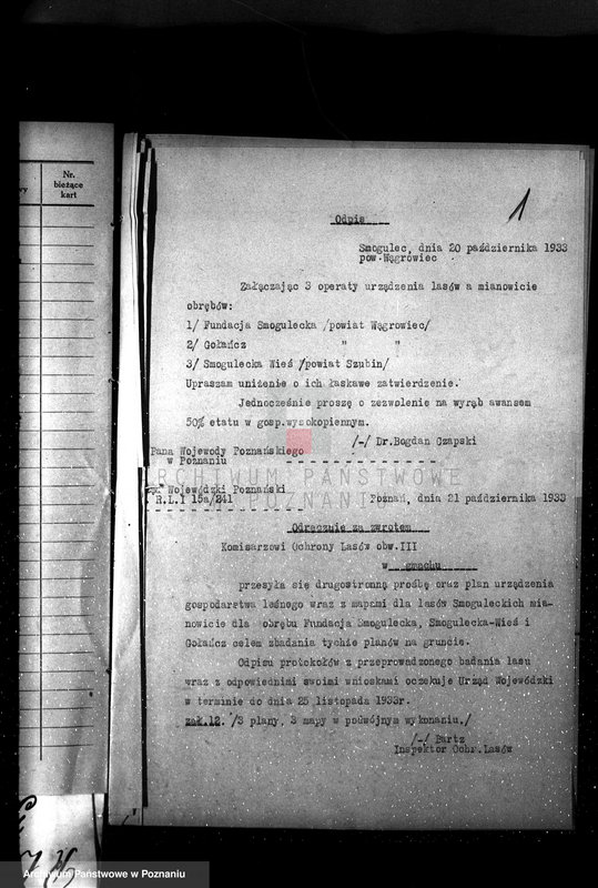 Obraz 5 z jednostki "Majętność /leśna/ Smogulecka Wieś powiat szubiński"