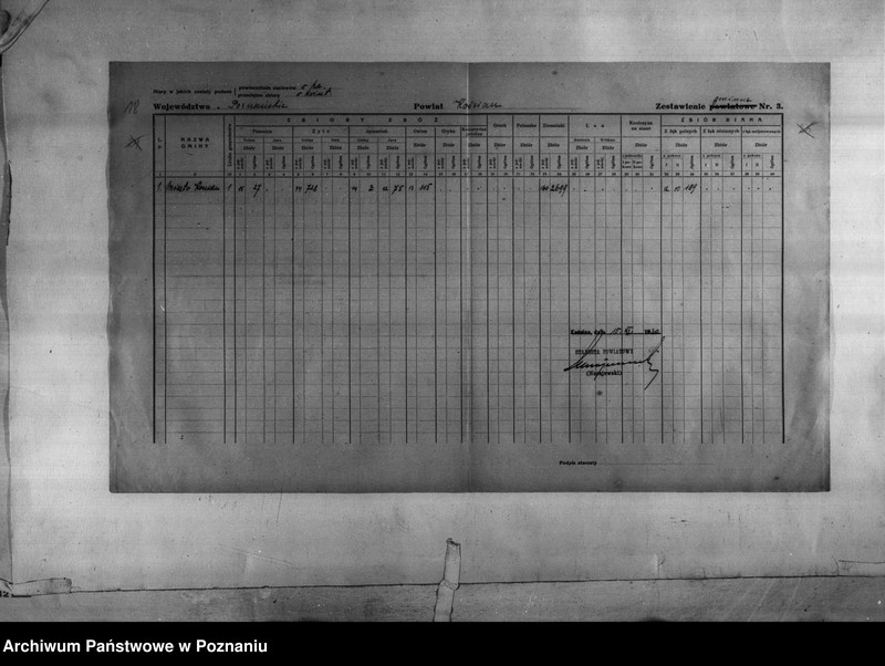 Obraz 20 z jednostki "/Statystyka produkcji rolnej - zestawienie z terenu powiatu kościańskiego"