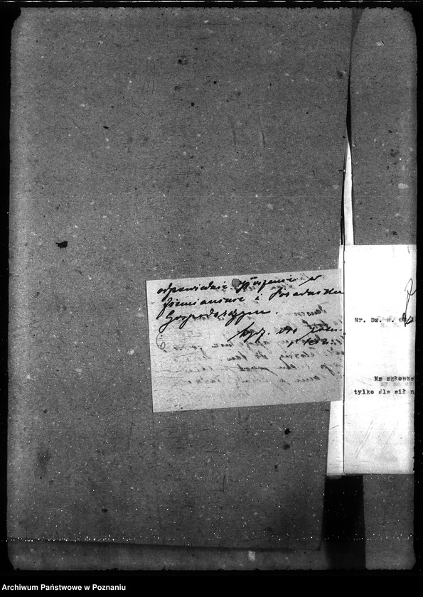 Obraz 10 z jednostki "Posady - zgłoszenia"