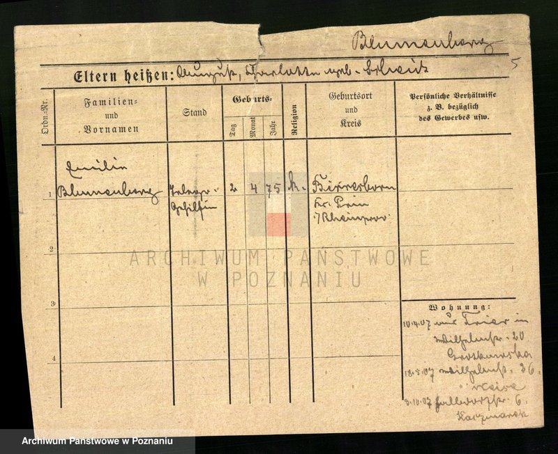 Obraz 7 z jednostki "Blumenau - Boch"