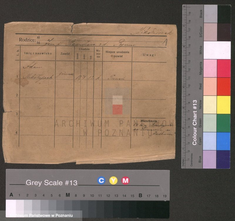 Obraz 3 z jednostki "Mikołajczak (żonaci i wdowy)"