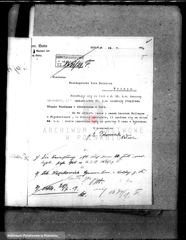 Obraz 8 z jednostki "Majętność leśna Gola w powiecie gostyńskim"