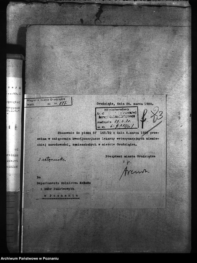 Obraz 7 z jednostki "[weterynarze narodowości niemieckiej]"