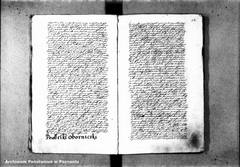 Obraz 16 z jednostki "Inscriptiones [inducta]"