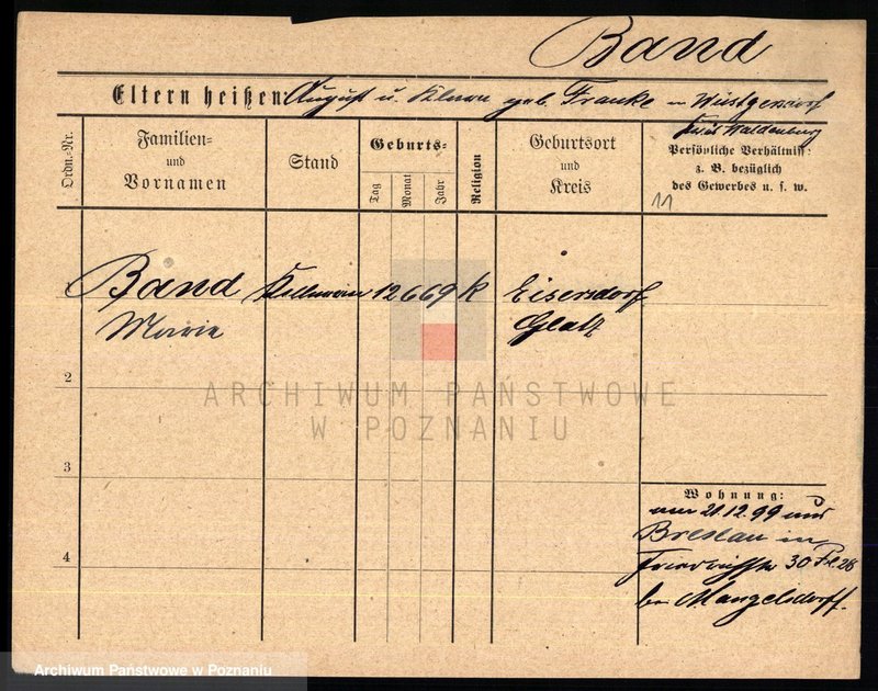 Obraz 13 z jednostki "Banat - Baran"