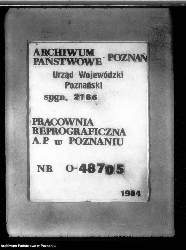 Obraz 1 z jednostki "Parcelacja prywatna Pępowo powiatu gostyńskiego"