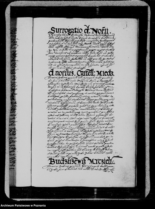 Obraz 8 z jednostki "Inscriptiones, relationes, decreta [inducta]"