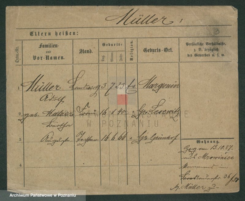 Obraz 5 z jednostki "Müller (żonaci i wdowy)"