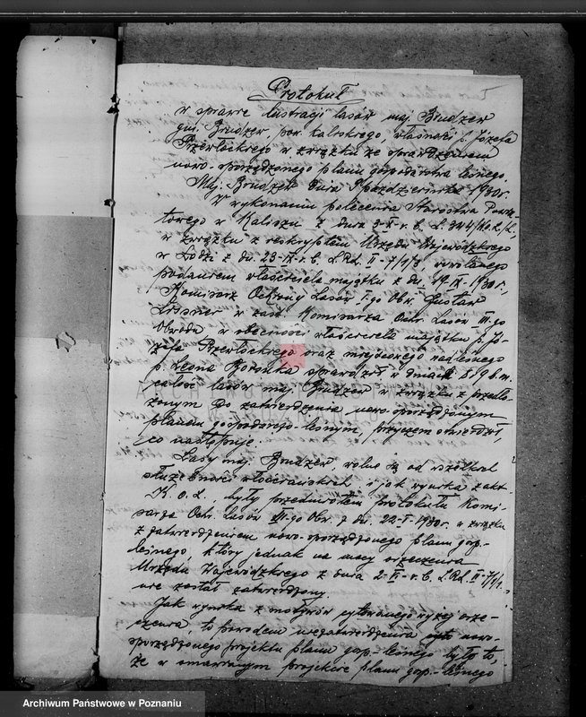 Obraz 10 z jednostki "Lasy majątku Brudzew w powiecie kaliskim"