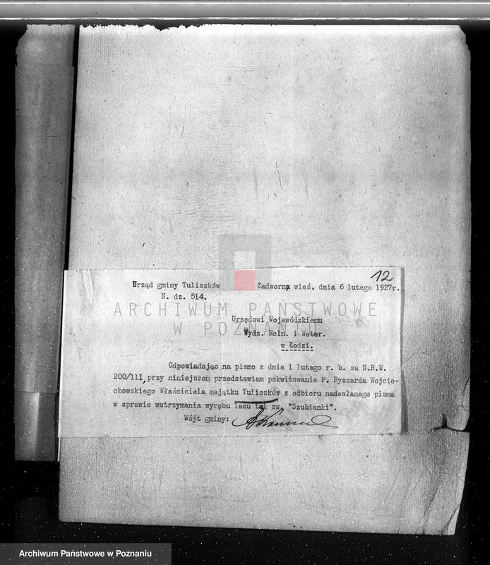 Obraz 15 z jednostki "Las miasta Tuliszkowo powiat koniński"