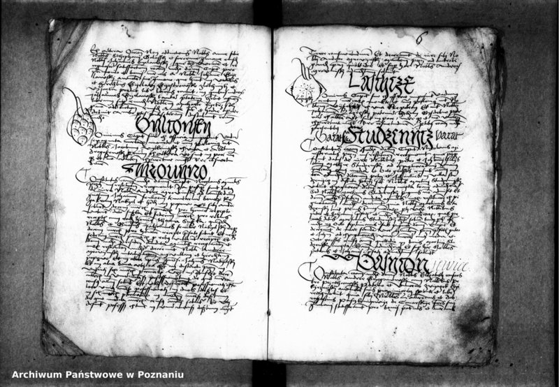 Obraz 9 z jednostki "Inscriptiones, relationes, decreta [inducta]"