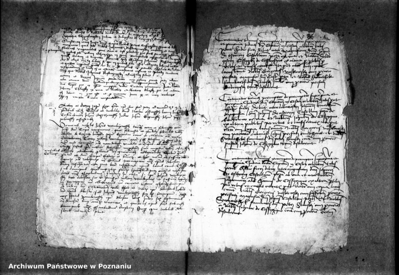 Obraz 7 z jednostki "Inscriptiones, relationes, decreta [protocollon]"