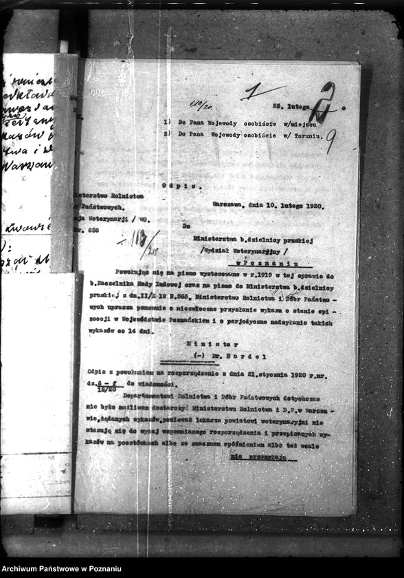 Obraz 18 z jednostki "Sprawy ogólne Wykazy chorób zaraźliwych; [księgosusz, zaraza płucna]"