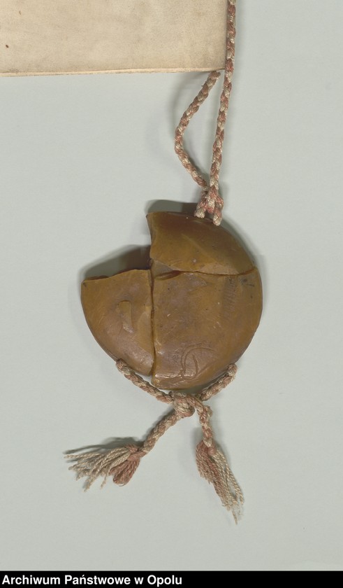 Obraz 9 z jednostki "Rajcowie miasta Wrocławia uwierzytelniają odpis umowy zawartej z polecenia Władysława, króla węgierskiego i czeskiego, we Wrocławiu [1504, 3 II], między"