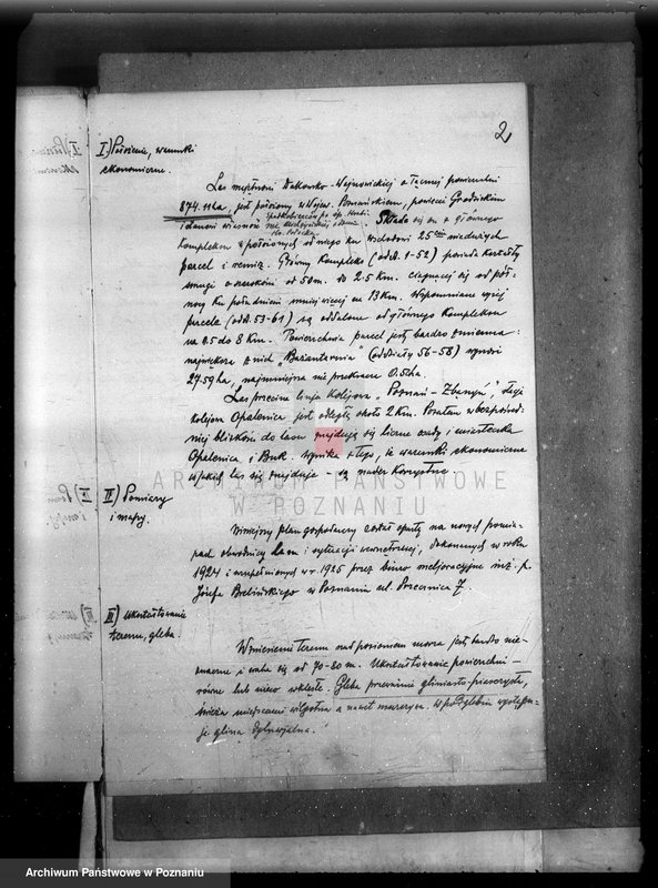 Obraz 6 z jednostki "Plan urządzenia gospodarstwa leśnego lasu majętności Dakowsko-Wojnowickiej w powiecie nowotomyskim"