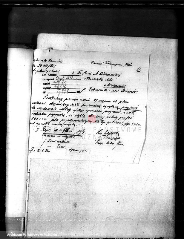 Obraz 10 z jednostki "Nadzór nad gospodarką w lasach majętności Oświęcim powiat kępiński"