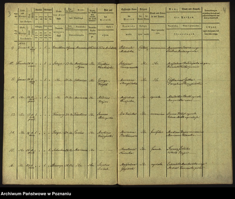 Obraz 5 z jednostki "Księga urodzeń"