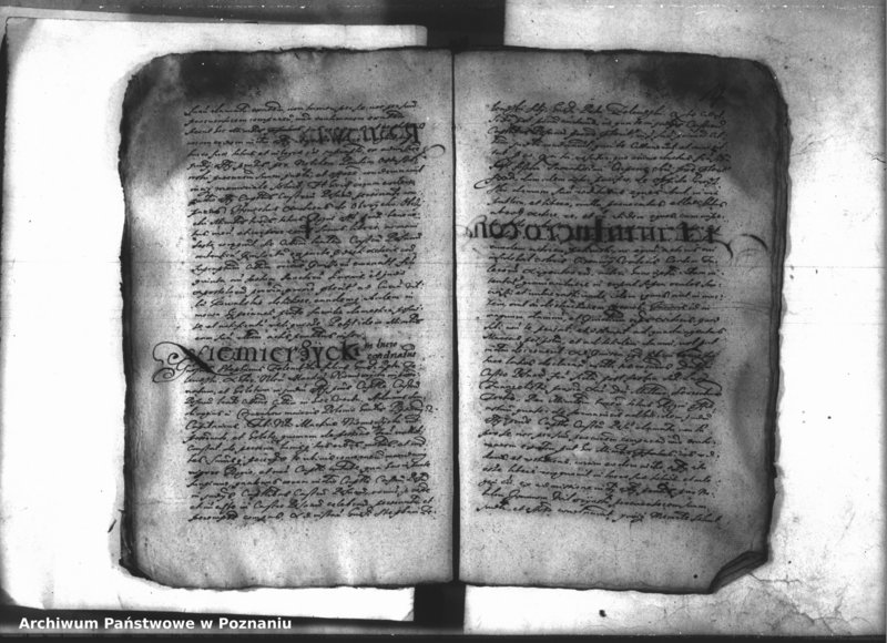 Obraz 20 z jednostki "Decreta iudicii [inducta]"