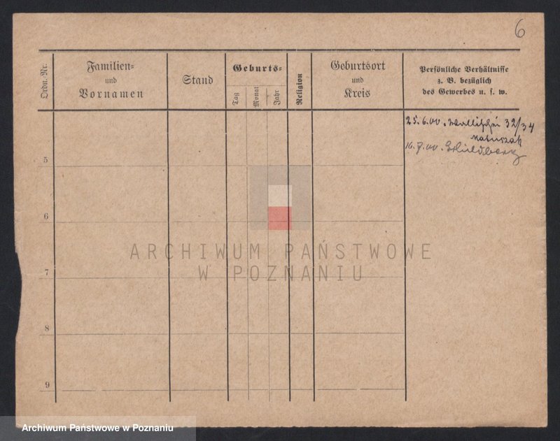 Obraz 8 z jednostki "Dornat - Drachowski"