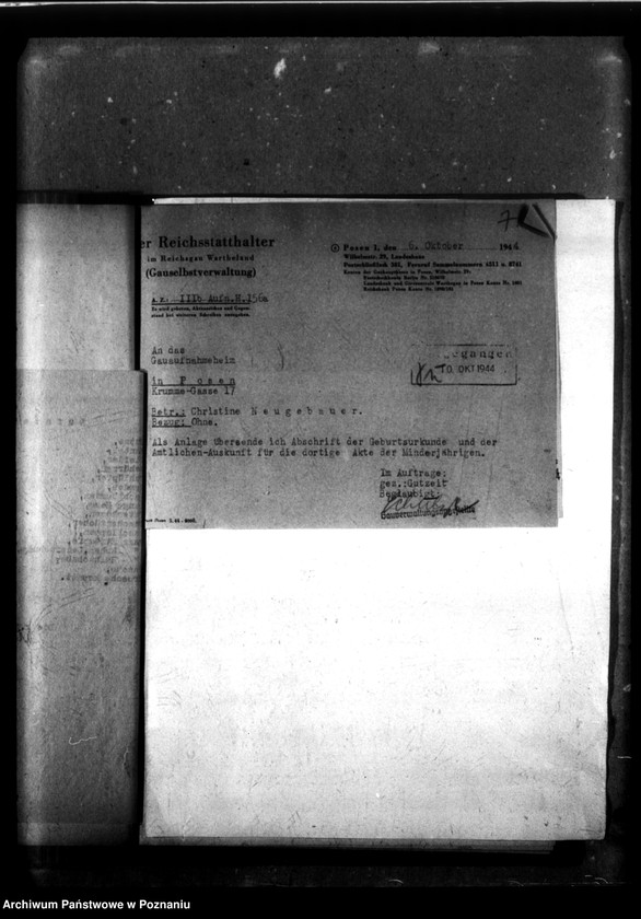 Obraz 11 z jednostki "[Akta personalne wychowanka Christine Neugebauer, ur. 11 V 1934]."