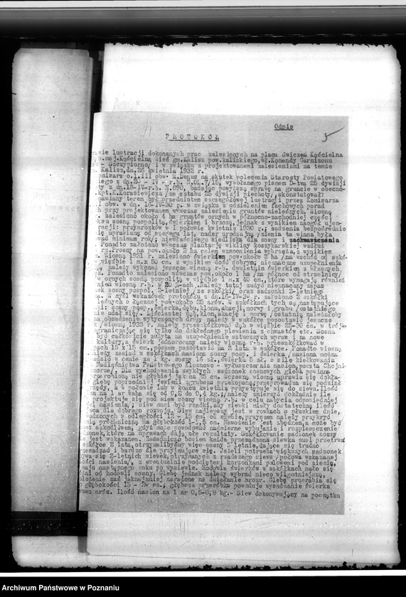 Obraz 9 z jednostki "Gmina Kalisz powiat kaliski"