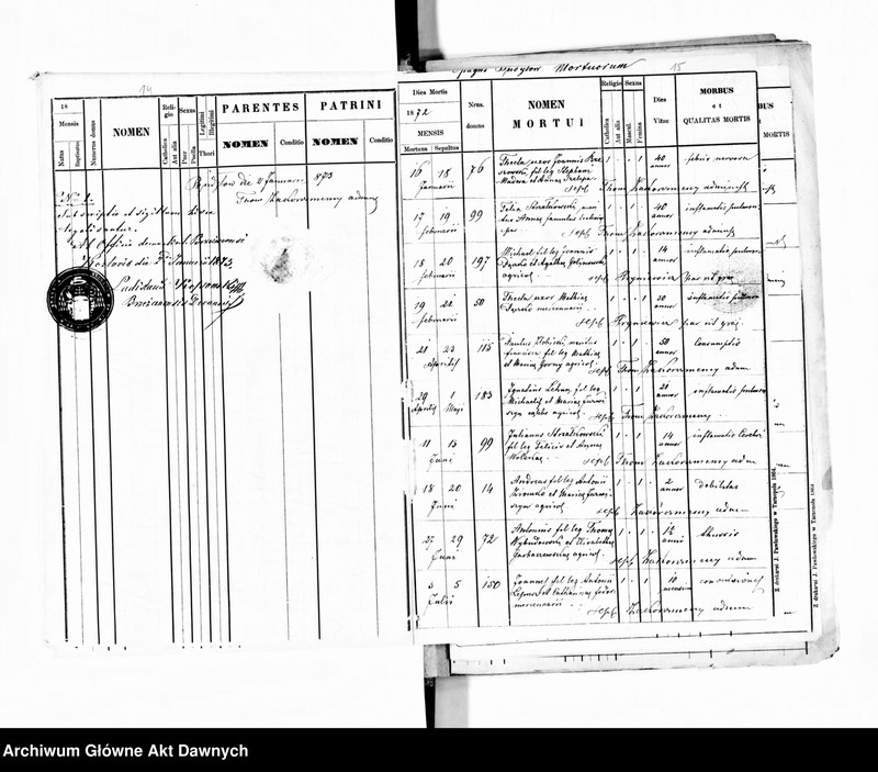 image.from.unit.number "Parafia: Budyłów. Dekanat: Brzeżany. Księga metrykalna urodzeń, ślubów i zgonów dla wsi: Budyłów, Cecory, Ceniów*, Glinna, Kaplińce, Krasna, Medowa, Olesin, Płaucza Mała, Płaucza Wielka, Płotycza, Wymysłówka, Wybudów*, Złoczówka."