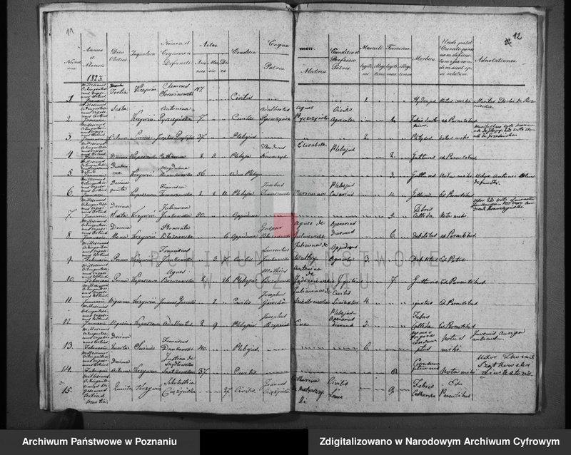 Obraz 10 z jednostki "Duplicatum baptisatorum, copulatorum, mortuorum"