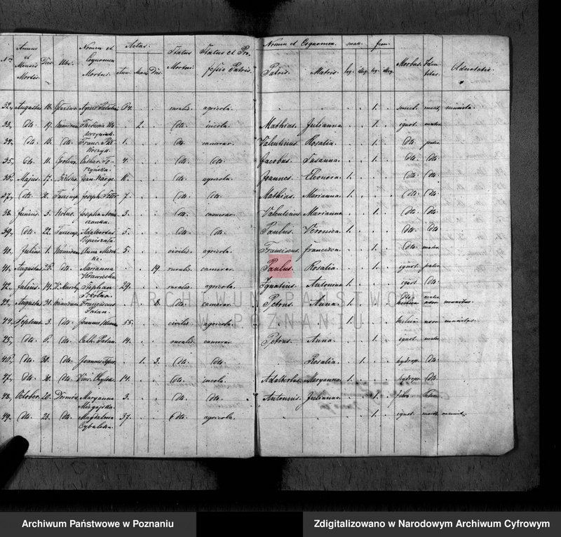 Obraz 14 z jednostki "Duplikat baptisatorum, copulatorum, mortuorum"
