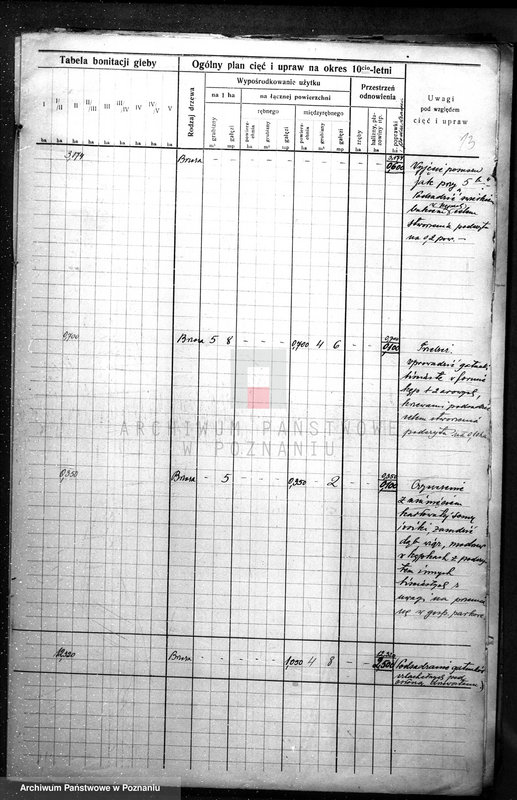 Obraz 17 z jednostki "Plan urządzania gospodarstwa leśnego dla gminy miasta Czarnkowa"