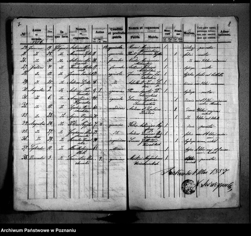 Obraz 6 z jednostki "Duplikat baptisatorum, copulatorum, mortuorum"