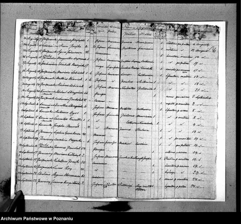 Obraz 11 z jednostki "Duplicat baptisatorum, copulatorum, mortuorum"
