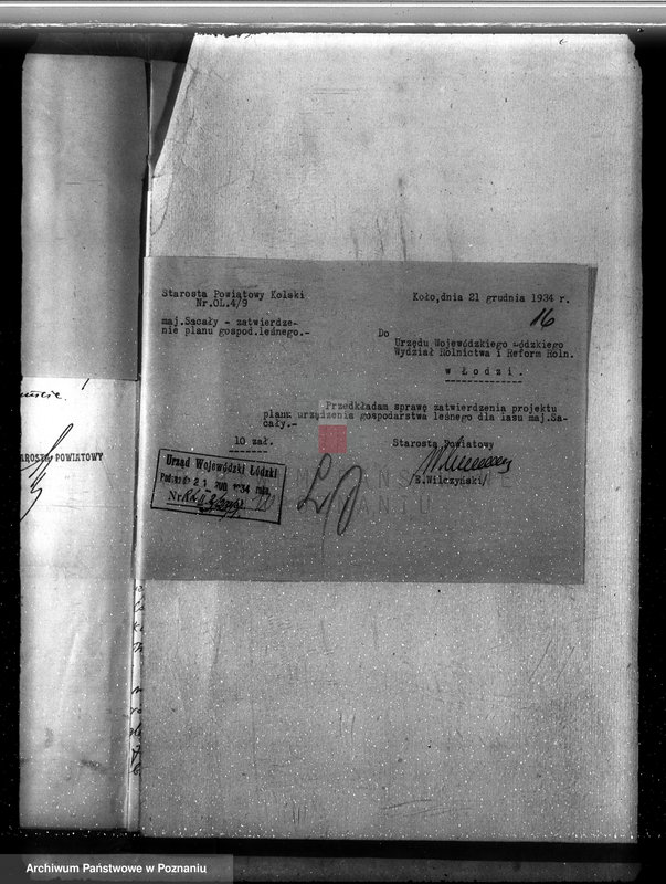 Obraz 20 z jednostki "Sprawa lasów majątku Sacały powiat kolski gmina Koźmin"