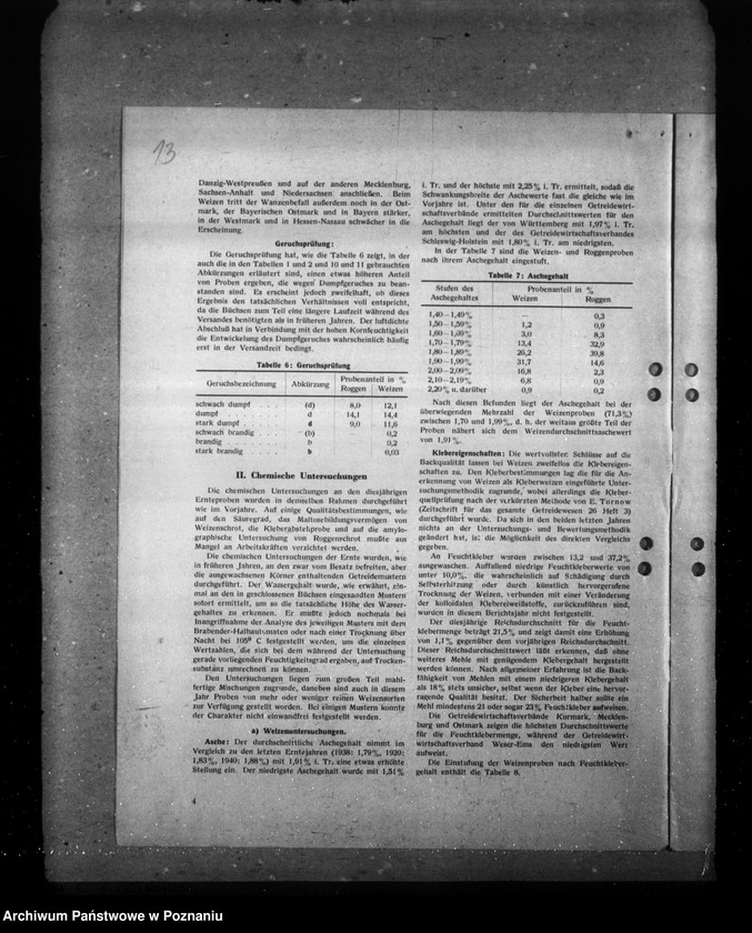 Obraz 17 z jednostki "Statystyka zapasów różnych zbóż i roślin"