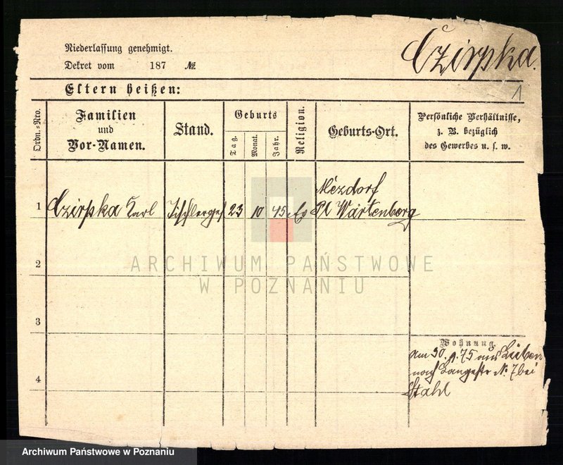 Obraz 3 z jednostki "Cieluch - Ciesielczyk"