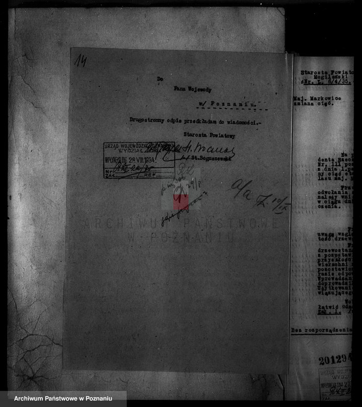 Obraz 19 z jednostki "Nadzór nad gospodarką w lasach majętności Markowice powiat mogileński"