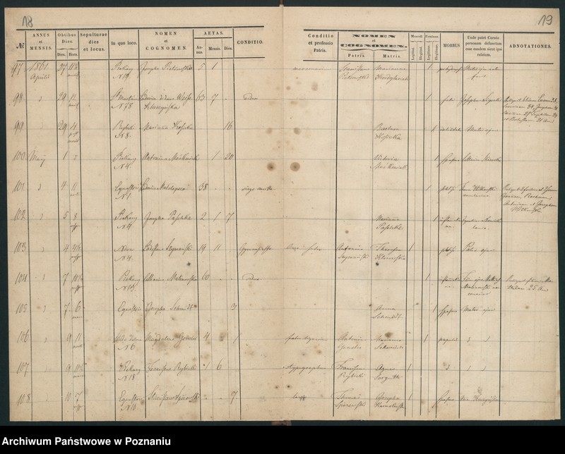 Obraz 12 z jednostki "Księga zgonów"