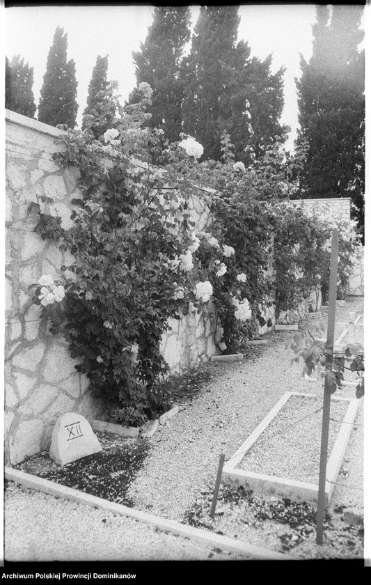 image.from.unit.number "Włochy. Polskie cmentarze wojenne w Casamassima i Loreto"