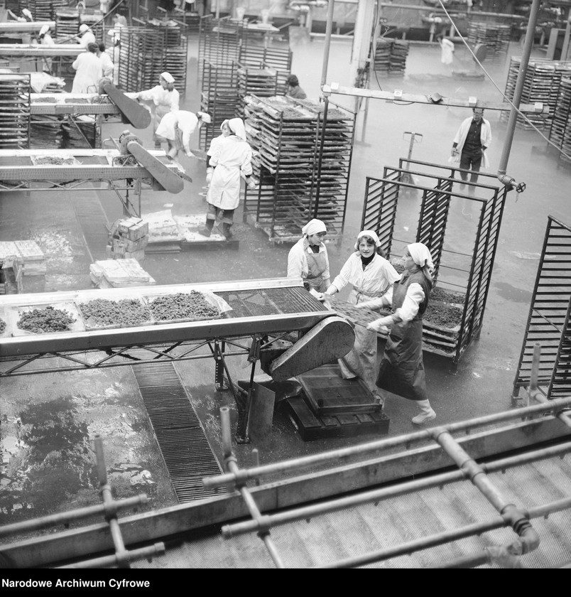 Obraz 8 z jednostki "Zakład produkcyjny Przedsiębiorstwa Handlu Zagranicznego "Hortex" w Płońsku"