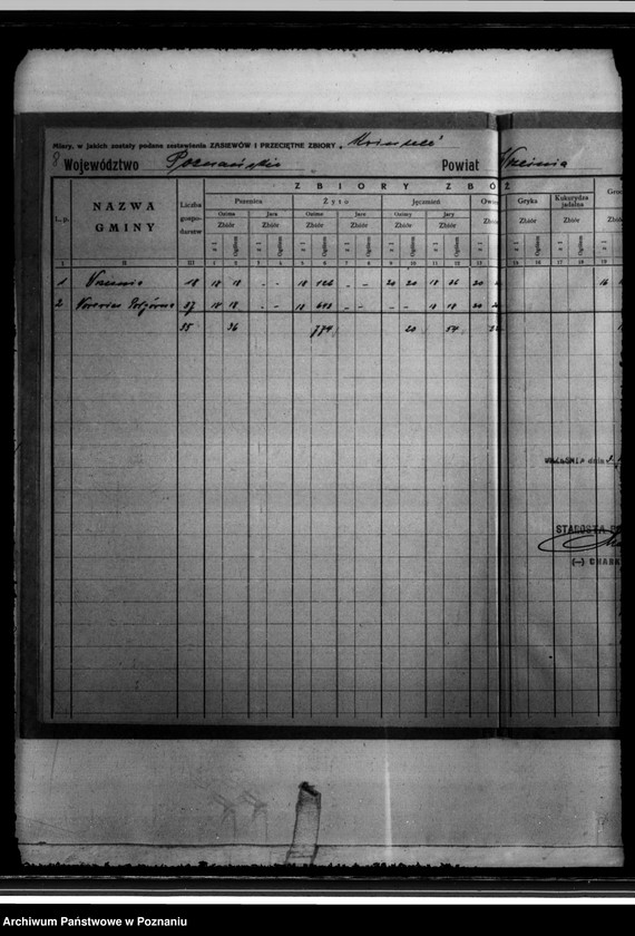 Obraz 12 z jednostki "/Statystyka produkcji rolnej - zestawienie powiatowe - Września/"