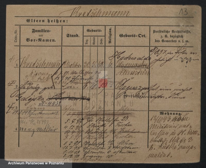 Obraz 13 z jednostki "Kreczman - Krenauer"