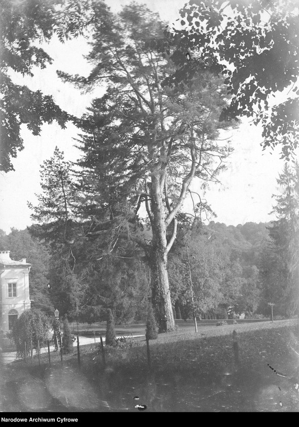 image.from.unit.number "Album z fotografiami z Brzeżan i Raju"