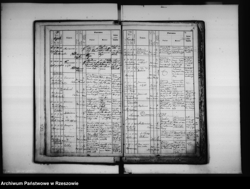 Obraz 18 z jednostki "Księga urodzeń - Łowisko"